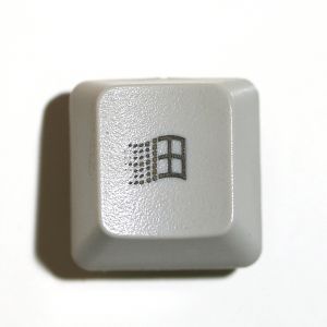 Windows Key Logo